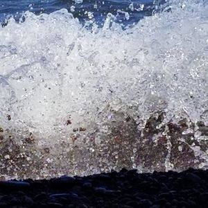 Meet your Posher, Heidi